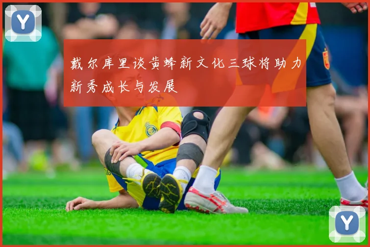 戴尔库里谈黄蜂新文化三球将助力新秀成长与发展